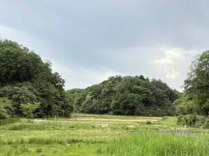 写真No.10