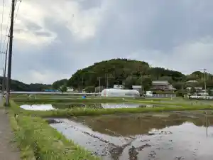 写真No.2