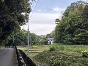 写真No.7