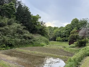 メイン写真