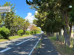 写真No.9
