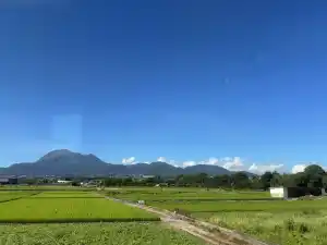 写真No.3