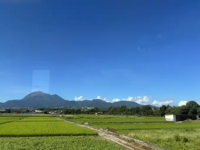 写真No.3