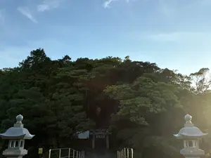 写真No.5