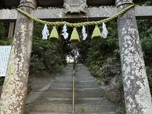 写真No.6