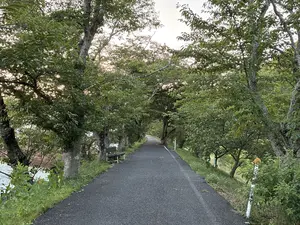 写真No.10