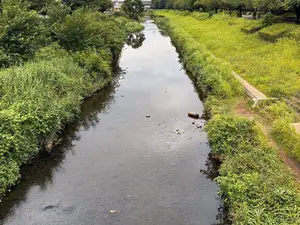 写真No.4