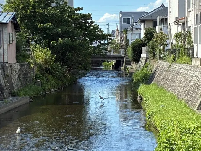 写真No.2