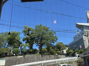 写真No.9