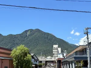 写真No.10