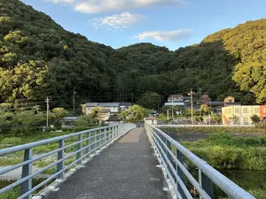 写真No.7