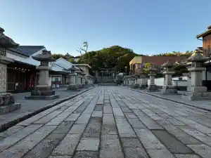 写真No.6