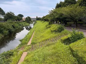 写真No.2