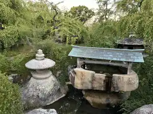 写真No.13