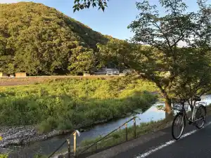 写真No.3