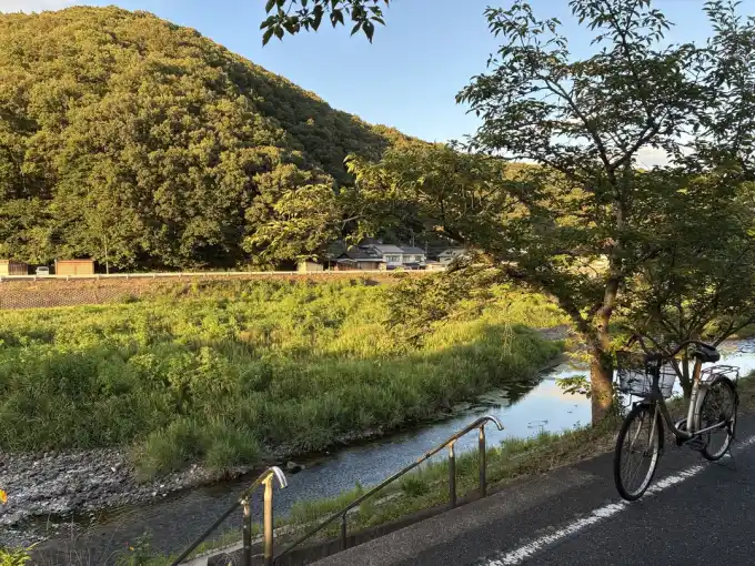 写真No.3