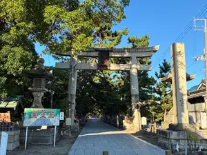 写真No.9