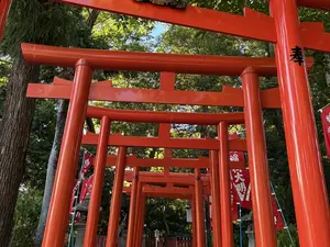 メイン写真