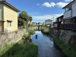 写真No.6