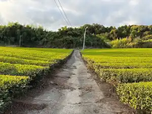 メイン写真