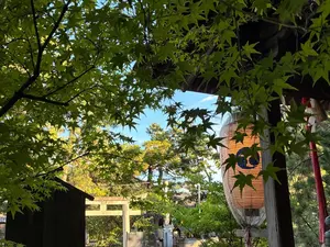 写真No.5