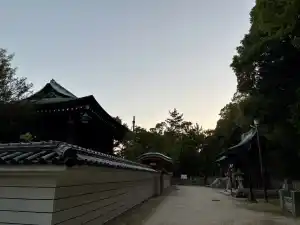 写真No.10