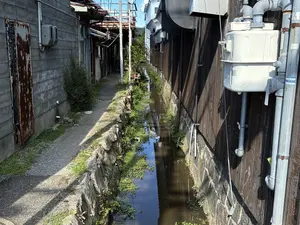 写真No.7