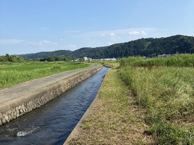 写真No.3