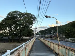 写真No.13