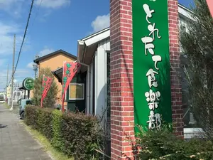 写真No.8