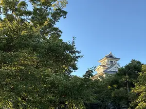 写真No.12