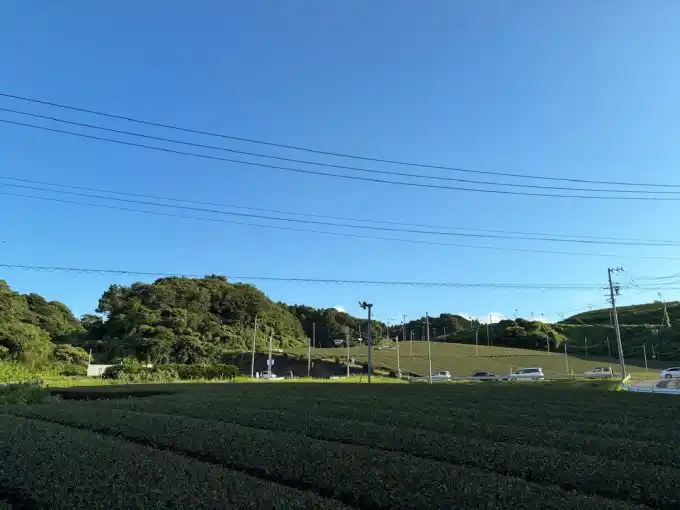 写真No.2