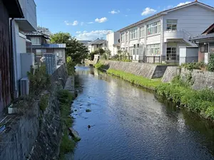 写真No.5