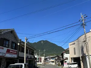 写真No.6