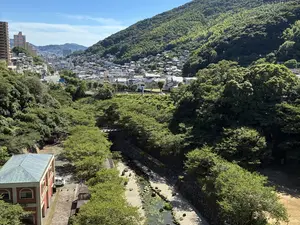 写真No.8