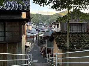 写真No.9