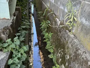 写真No.8