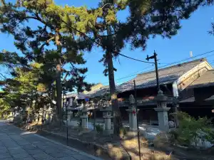 写真No.8