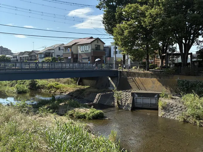 写真No.3