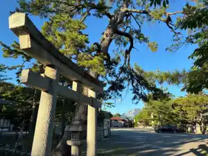 写真No.4