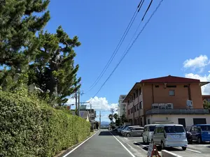写真No.4