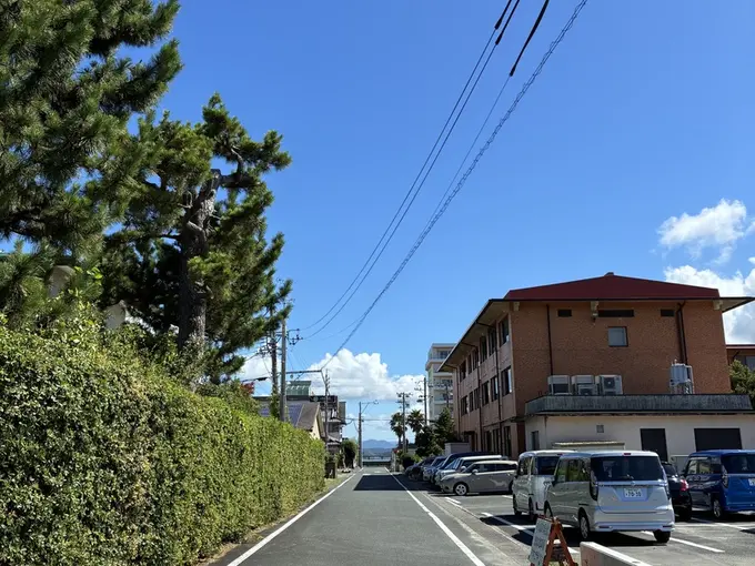 写真No.4