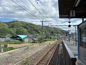 写真No.6