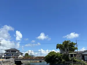 写真No.11