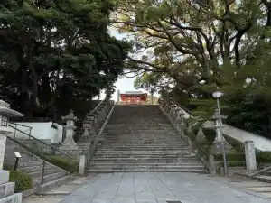写真No.7