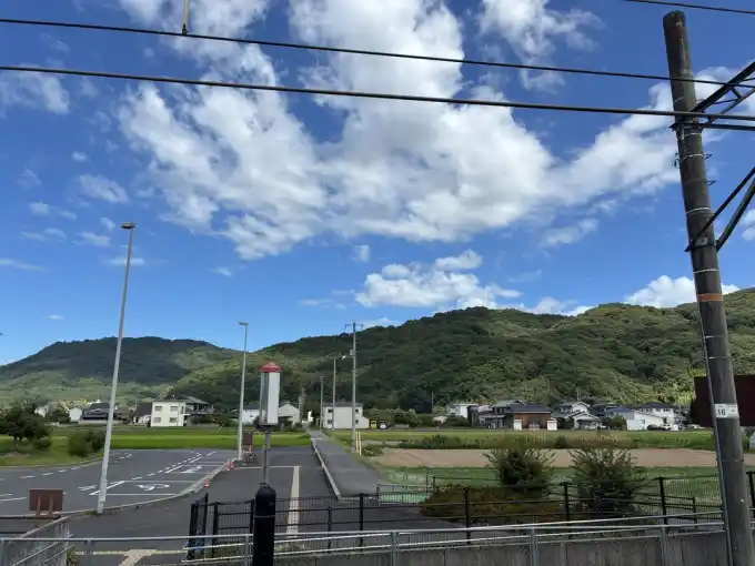 写真No.4