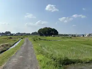 メイン写真