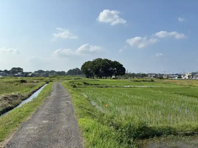 メイン写真
