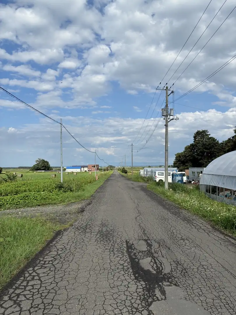 写真No.10