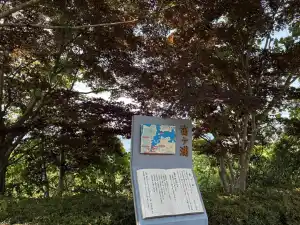 写真No.4